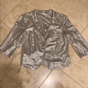 Silver metallic Iisli blazer